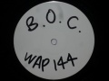 WAP144WL-vinyl-1.jpeg