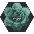 Thumbnail for version as of 09:45, 1 June 2026